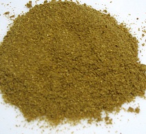 Coriander Spice