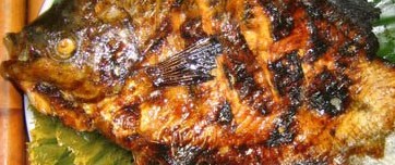 Iraqi Tomato Fish